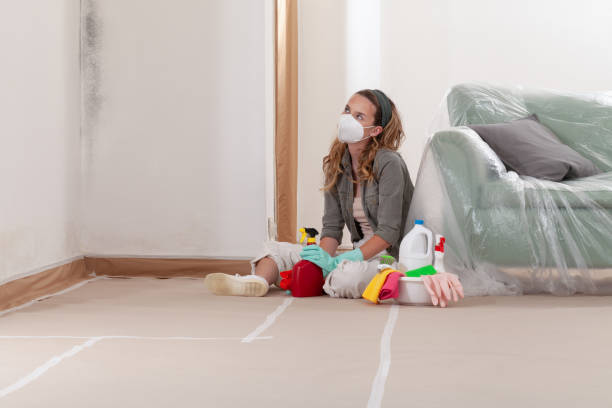 Reliable Mold Inspection And Testing contractor in Hendersonville, NC by Car Mold Remediation